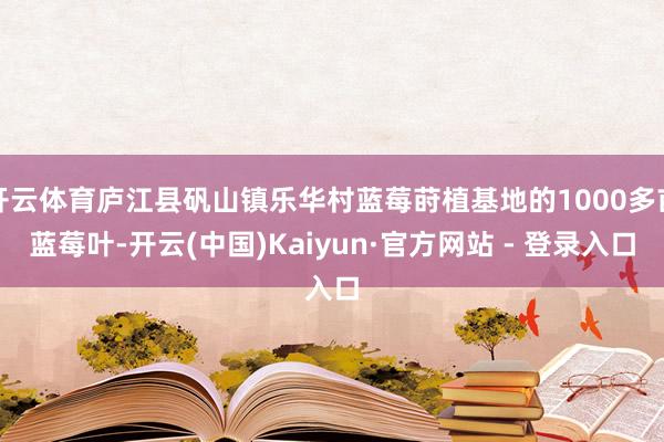 开云体育庐江县矾山镇乐华村蓝莓莳植基地的1000多亩蓝莓叶-开云(中国)Kaiyun·官方网站 - 登录入口