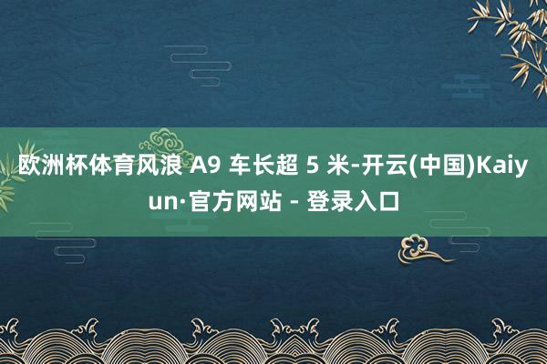 欧洲杯体育风浪 A9 车长超 5 米-开云(中国)Kaiyun·官方网站 - 登录入口