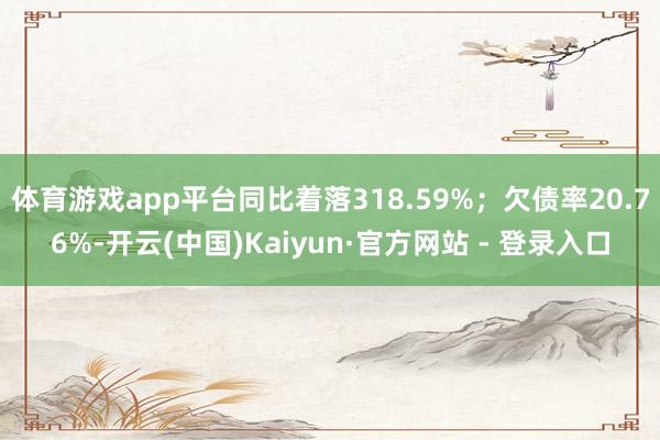 体育游戏app平台同比着落318.59%；欠债率20.76%-开云(中国)Kaiyun·官方网站 - 登录入口