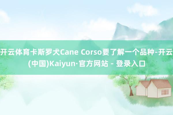 开云体育卡斯罗犬Cane Corso要了解一个品种-开云(中国)Kaiyun·官方网站 - 登录入口
