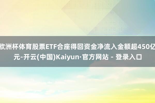 欧洲杯体育股票ETF合座得回资金净流入金额超450亿元-开云(中国)Kaiyun·官方网站 - 登录入口