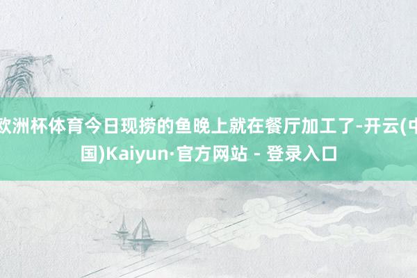 欧洲杯体育今日现捞的鱼晚上就在餐厅加工了-开云(中国)Kaiyun·官方网站 - 登录入口