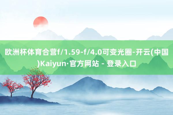 欧洲杯体育合营f/1.59-f/4.0可变光圈-开云(中国)Kaiyun·官方网站 - 登录入口