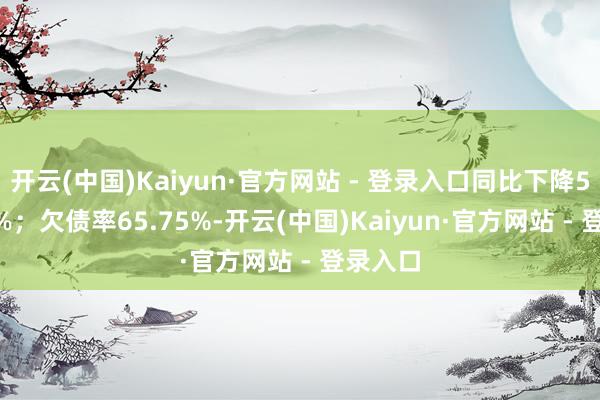 开云(中国)Kaiyun·官方网站 - 登录入口同比下降501.22%；欠债率65.75%-开云(中国)Kaiyun·官方网站 - 登录入口