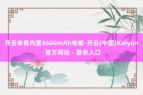 开云体育内置4600mAh电板-开云(中国)Kaiyun·官方网站 - 登录入口