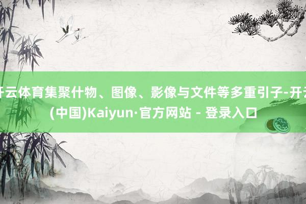 开云体育集聚什物、图像、影像与文件等多重引子-开云(中国)Kaiyun·官方网站 - 登录入口