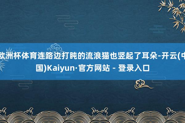 欧洲杯体育连路边打盹的流浪猫也竖起了耳朵-开云(中国)Kaiyun·官方网站 - 登录入口